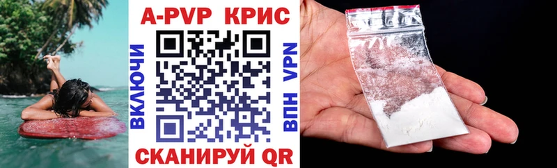 A PVP СК КРИС  Новосиль 