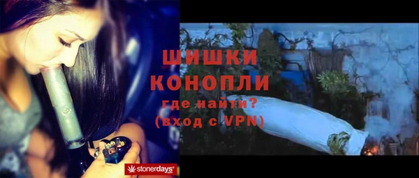 гидра Усмань
