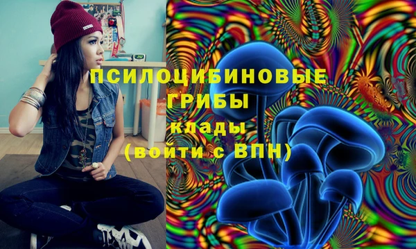 альфа пвп Нея