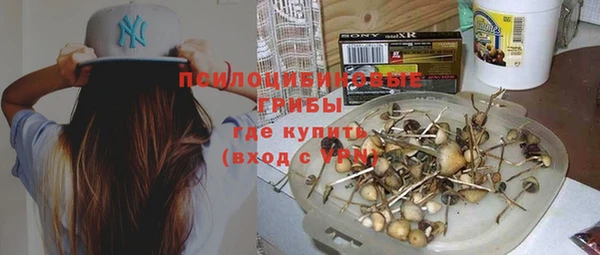 а пвп мука Богородицк