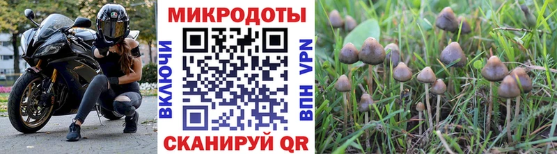 ссылка на мегу онион  Новосиль  Псилоцибиновые грибы Psilocybine cubensis  цены  